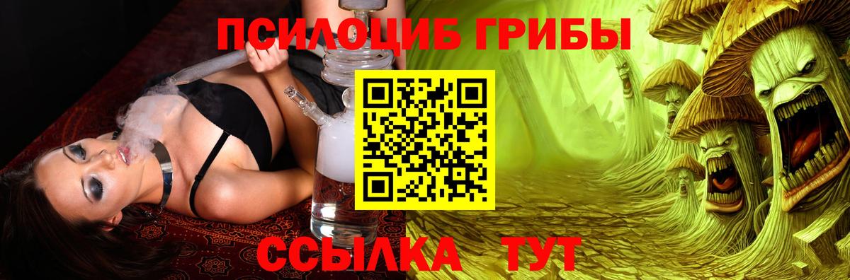 Галлюциногенные грибы Cubensis Великий Устюг