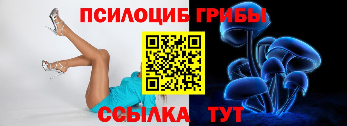 Великий Устюг  Галлюциногенные грибы Psilocybe  Вход с VPN 